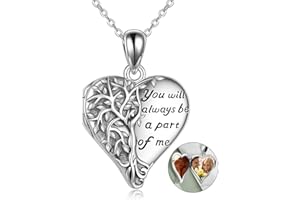 YFN Locket Necklace 925 Sterling Silver Heart Locket Necklace that Holds Pictures for Women Jewelry Gifts, Large, Sterling Si