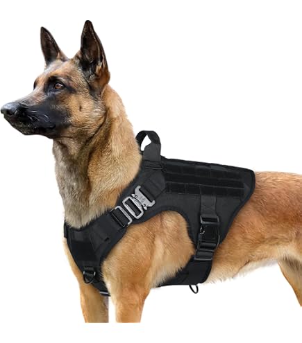 KONG Max Ultra Durable Dog Harness - Neoprene Padded Chest Plate With Front & Back Leash Rings (Green, Small) - View #7