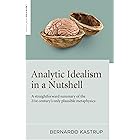 Analytic Idealism in a Nutshell: A straightforward summary of the 21st century’s only plausible metaphysics