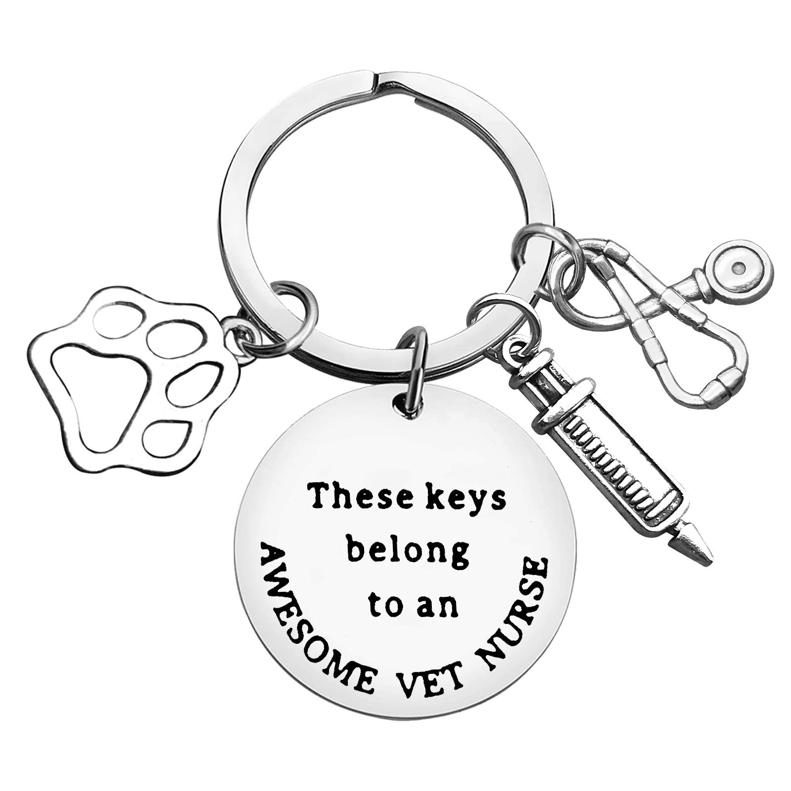 Vet Keyring Veterinarian Gift Keychain Veterinary Student Gift These Keys Belong to an Awesome Vet Nurse Gift for Vet Tech Appreciation Gift for Vet Technician Christmas Birthday Graduation Gift