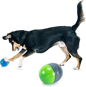 PetSafe Kibble Nibble and Ricochet - Interactive Dog Toys - Engaging Puzzles for Bored, Anxious or Energetic Pets