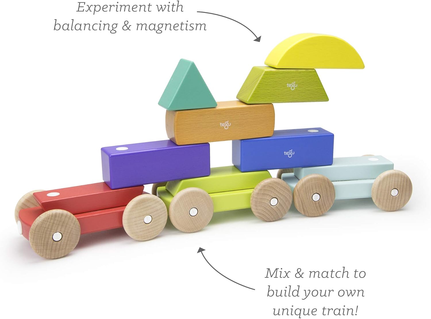 tegu magnetic shape train