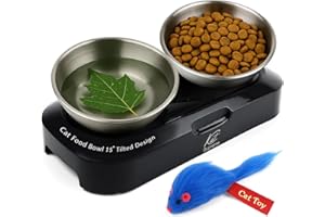 Cat Food Bowl - KATSUPREME Cat Bowls for Indoor Cats | Set of 2 Stainless Steel Bowl, Tilted Bowls Elevated Anti Vomiting, Non-Slip Base, Ant Proof Food & Water.