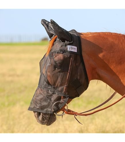 Cashel Crusader – Máscara De Nariz Larga Con Orejas – Yaxa