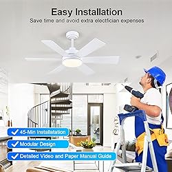 42 inch Ceiling Fans with Lights, Ceiling Fan with
