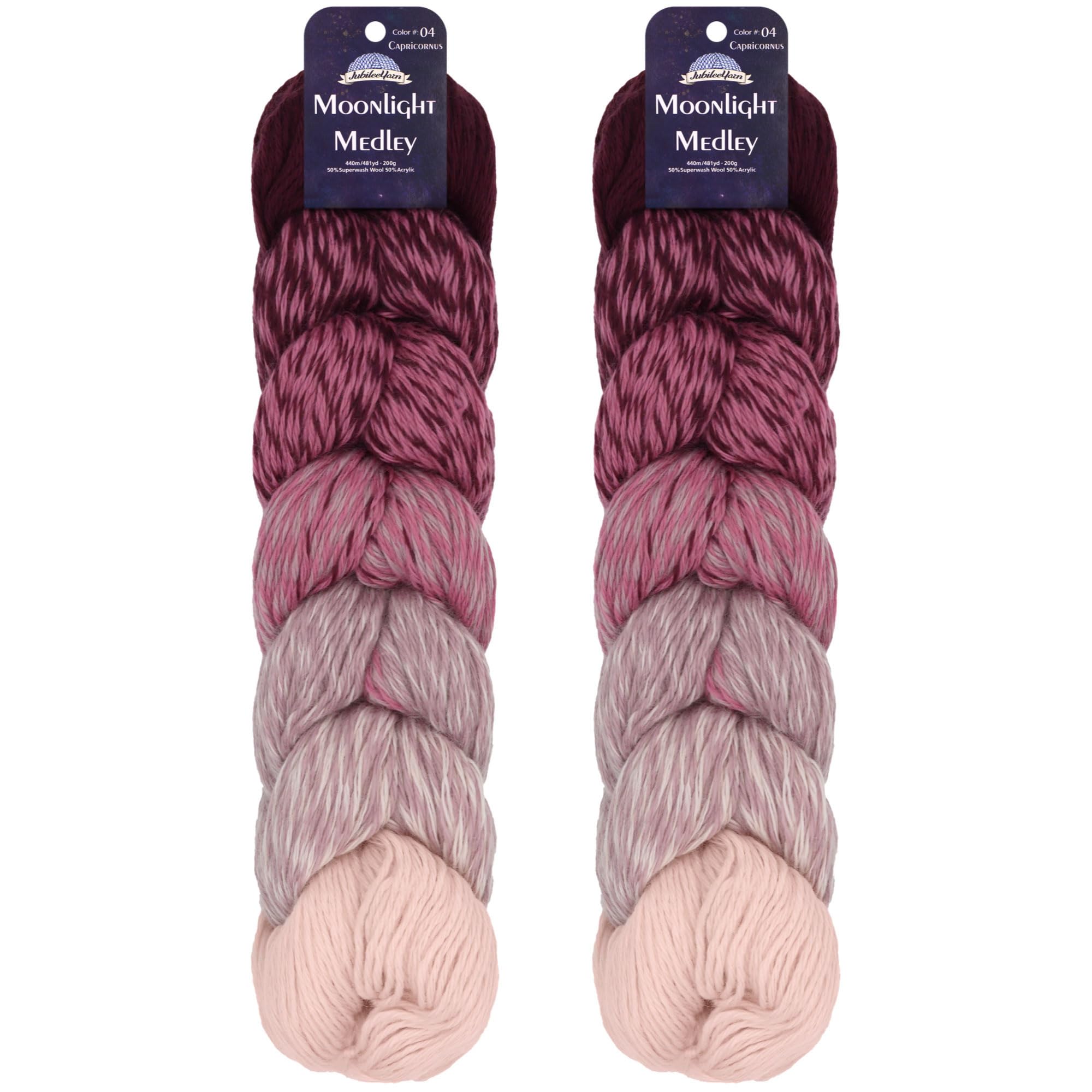 JubileeYarn Moonlight Medley Yarn - Ombre DK Weight Merino Wool/Acrylic - 200g/Hank - Libra - 2 Skeins