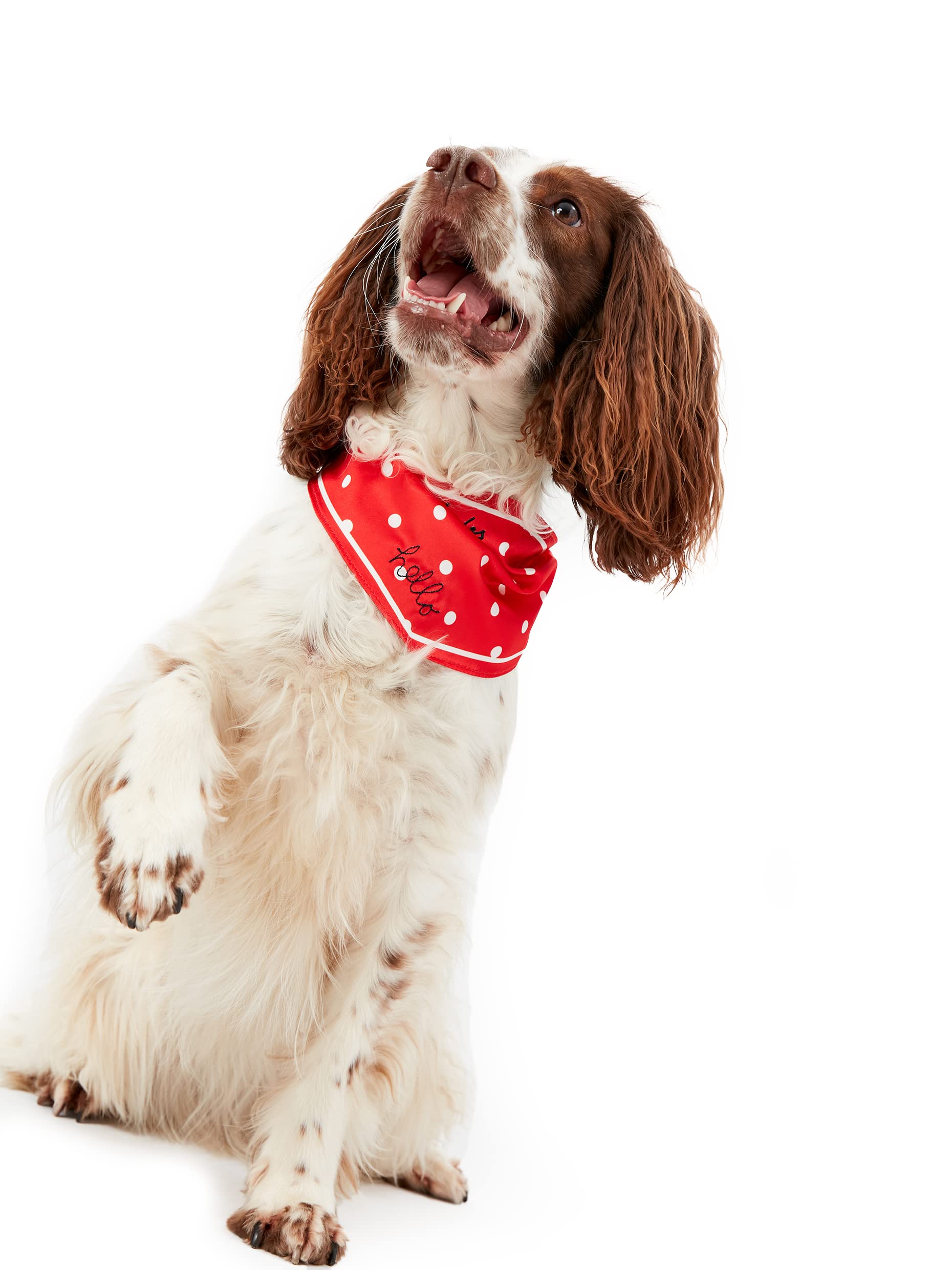 Rosewood Joules Red Hello Polka Dot Neckerchief