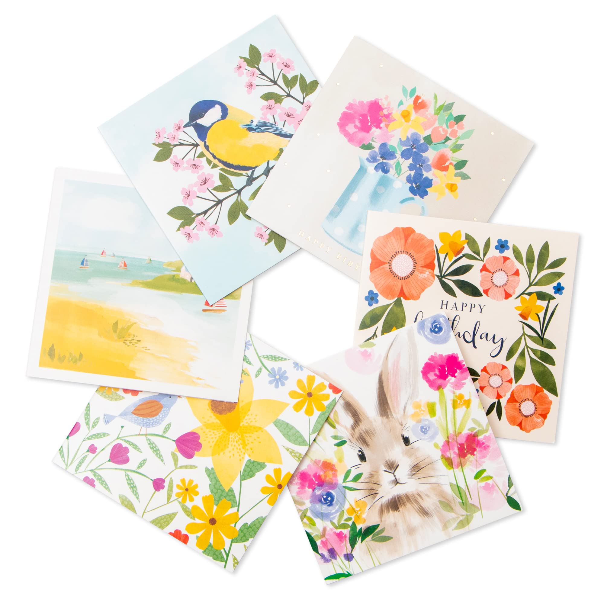 Tall Boy | Everyday Marie Curie Charity Pack Bundle of 36 Greeting Cards Perfect for Birthdays & All Occasions