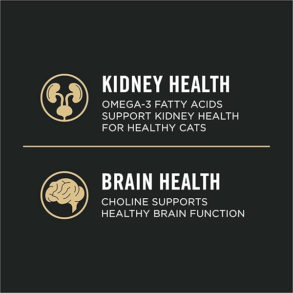 PURINA PRO PLAN VITAL SYSTEMS TURKEY WET CAT FOOD PATE 4-IN-1 BRAIN, KIDNEY, DIGESTIVE AND IMMUNE FORMULA – (PACK OF 24) 3 OZ. CANS