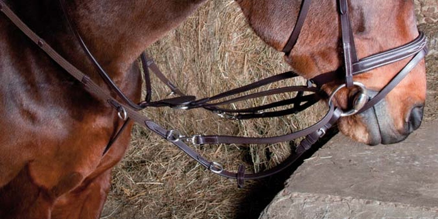 TdeT Market harborough - dark havana - full