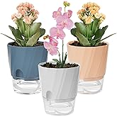 KIMCHOMERSE Self Watering Plant Pots, 6 Inch Plant Pots White, Pink, Blue, 3 Pack Flowers Pot Indoor Planter Pots with Tray for Spider Plant, Orchid, African Violet