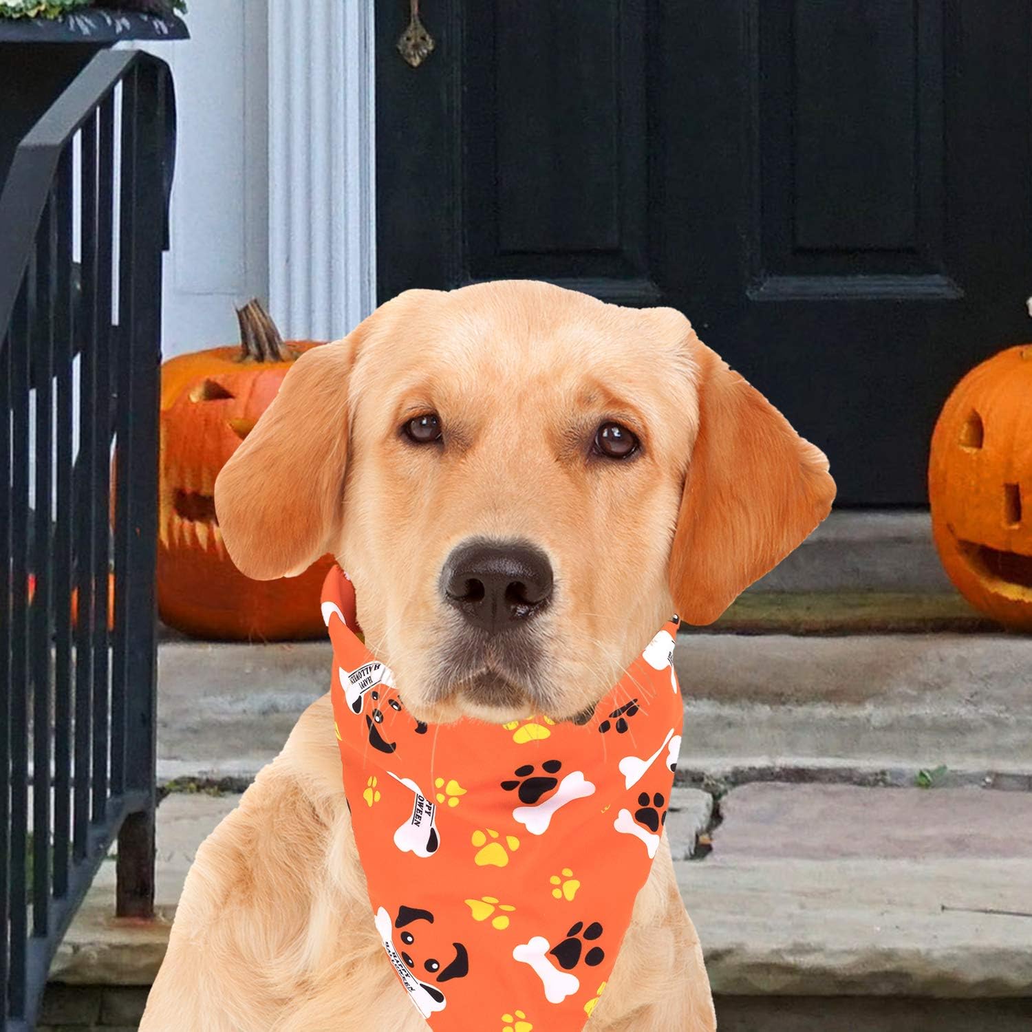 Whaline 5 Pack Halloween Dog Bandanas, Triangle Pet Scarfs Washable Pet Neckerchief Dog Bibs, Pumpkin, Ghost, Candy Corn and Bones Pet Bandanas : Pet Supplies