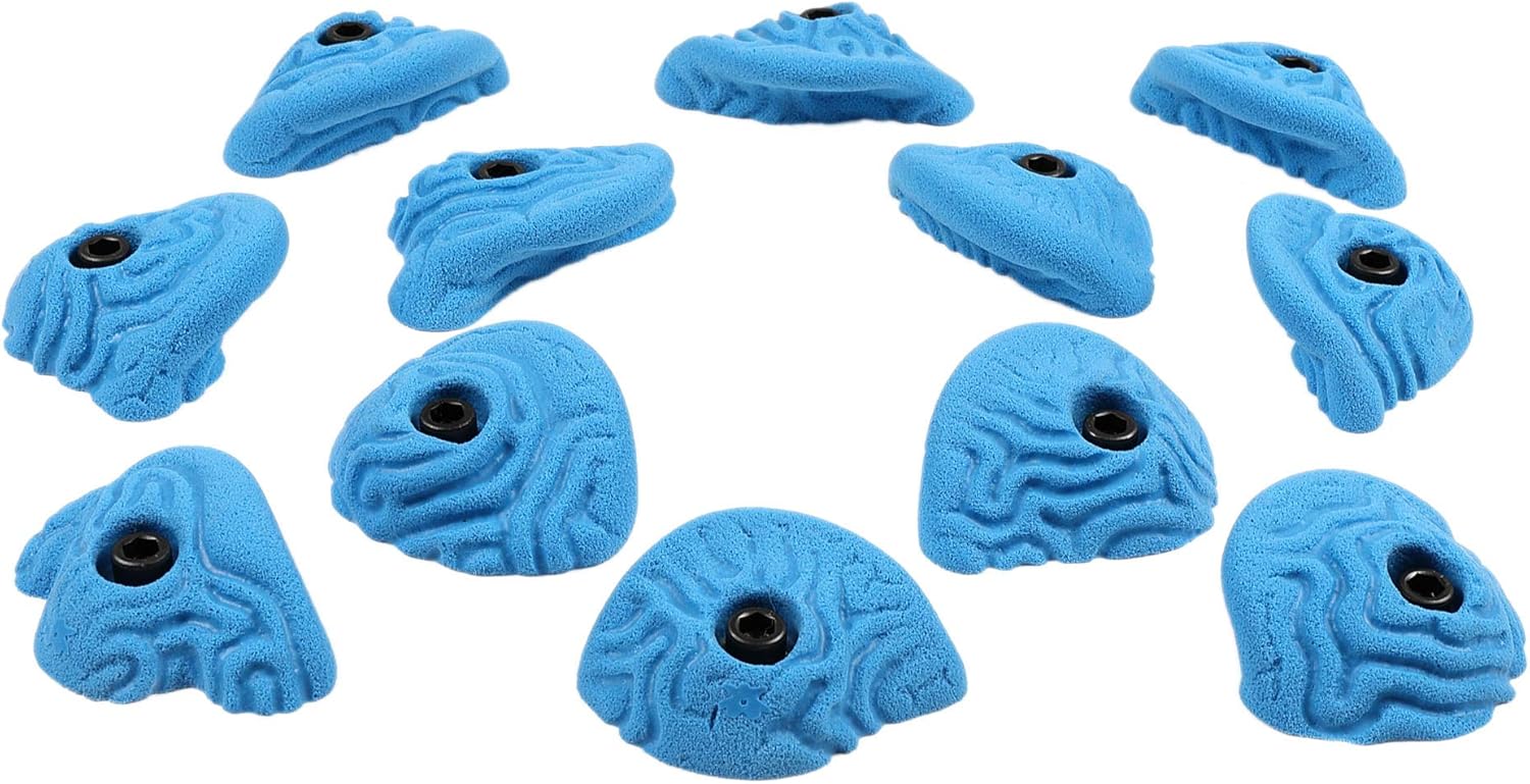 Atomik Rock Climbing Holds Set of 12 Bolt-On Steep Wall Brain Coral Crimps in Blue : Sports & Outdoors