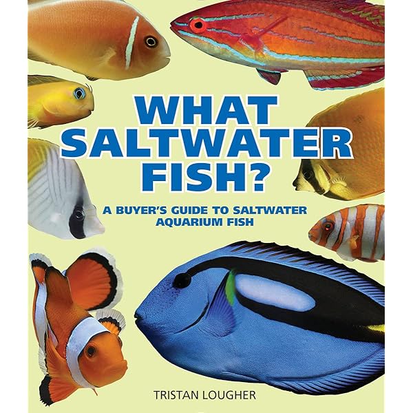 洋書　Freshwater Aquarium Fishes 淡水魚　大型本 Aquarium Fish of the World: The Comprehensive Guide to 650