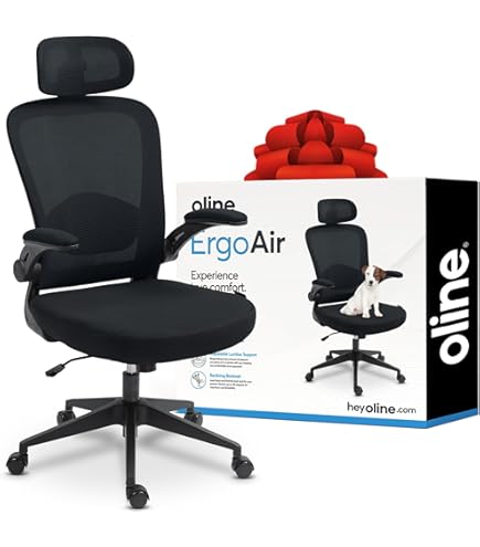Misolant - Silla Ergonómica De Oficina, Silla De Computadora Con Soporte Lumbar, Silla De