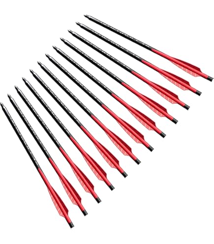バーネットトライデント Amazon.com : Barnett Demun Hyperbolt 2F - 12 Pack Mini