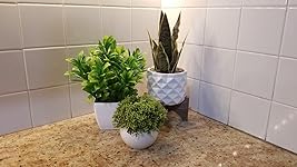 Review Image by Danica Danica