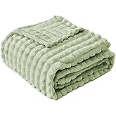FY FIBER HOUSE Throw Blanket for Couch Soft Warm Fuzzy Blankets for Sofa All Season Use, 50x60 Inches, Sage Green