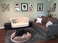 Review Image by Curt & Lindsay Lewis