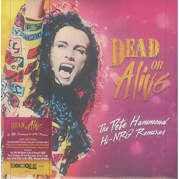 DEAD OR ALIVE『Still Spinning (27CD)』 Dead or Alive - Still Spinning: The Singles Collection