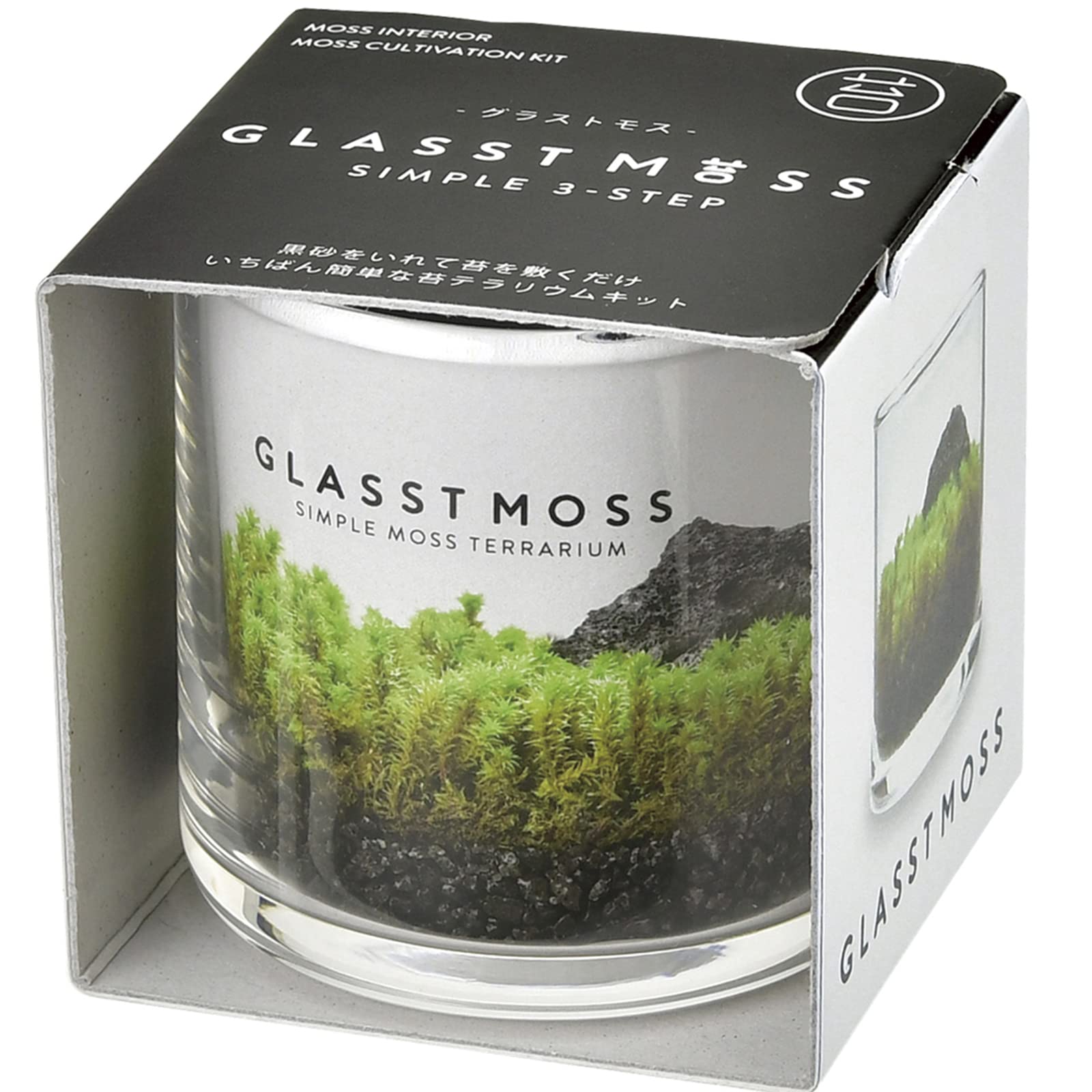聖新陶芸 春 / 夏 / 秋の アクアリウム 苔テラリウム 水草 栽培キット ゆったり育てる 栽培セット ( 自由研究 ) S 鉢の径約6cm GLASSTMOSS 母の日 プレゼント 誕生日 GD-933商品画像