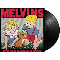A) Senile Animal (Vinyl): Melvins: Amazon.ca: Music
