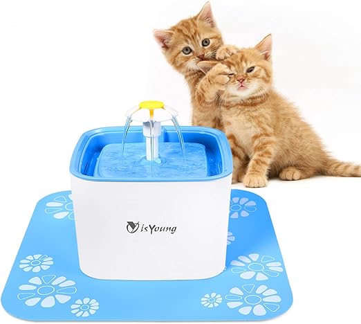 small cat drinking fountain