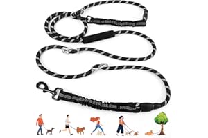 NEOGULY Heavy Duty Hands Free Dog Leash, 10FT Adjustable Handsfree Dog Training Leash with Shock Absorbing Bungee, No Pull Tangle Free Reflective Body Waist Leash for Dog Walking Running