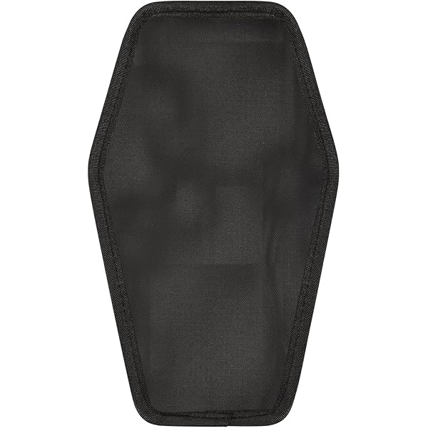 ☆THE RAVENS☆GHOST NOTES TOUR クッション カード付 4U 2nd