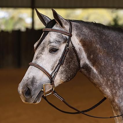 Amazon Com Joseph Sterling Comfort Plus Hunter Bridle Sports