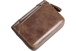 Card Holder, Small Accordion Stainless Steel Zipper Card Case Holder Card Organizer Case for Women Men (Brown)
