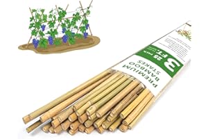 Plant Stakes,3FT Longer Sturdy Natural Bamboo Garden Stakes,GAGINANG 25Pcs Bamboo Sticks Trellis Support for Tomato, Vegetables Beans Trees Climbing Plants