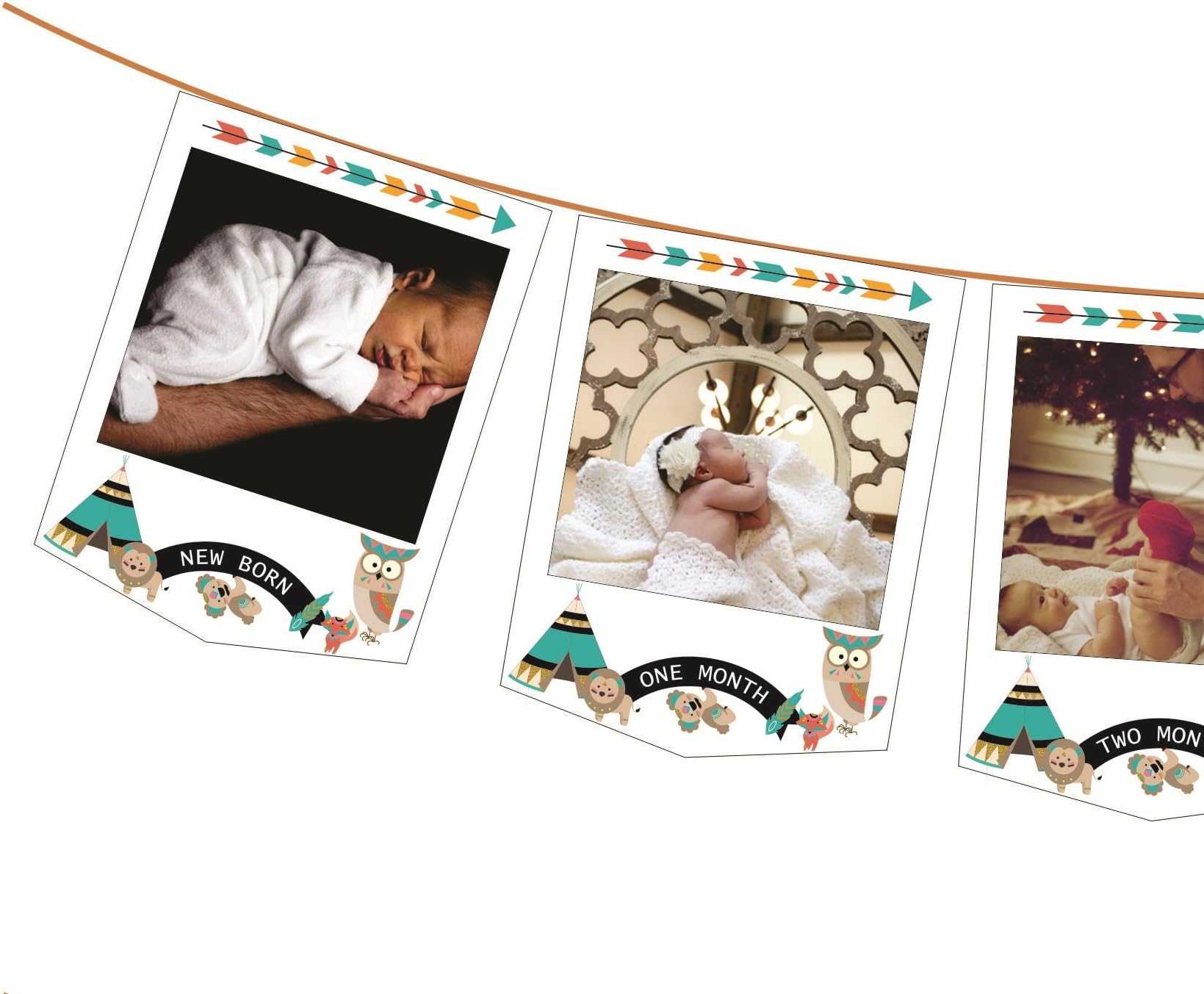 DecuT 1st Birthday Decorations - Monthly Milestone Birthday Photo Banner for Newborn to 12 Months., Picture Banner for Birthday, Baby Shower Gift ( Pictures not Included )