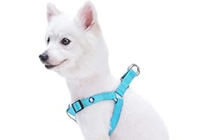 Blueberry Pet Essentials Step-in Dog Harness, Medium Size | Adjustable Turquoise Vest | Classic Solid Nylon for Boy & Girl Dogs, Chest Girth 20" -26"