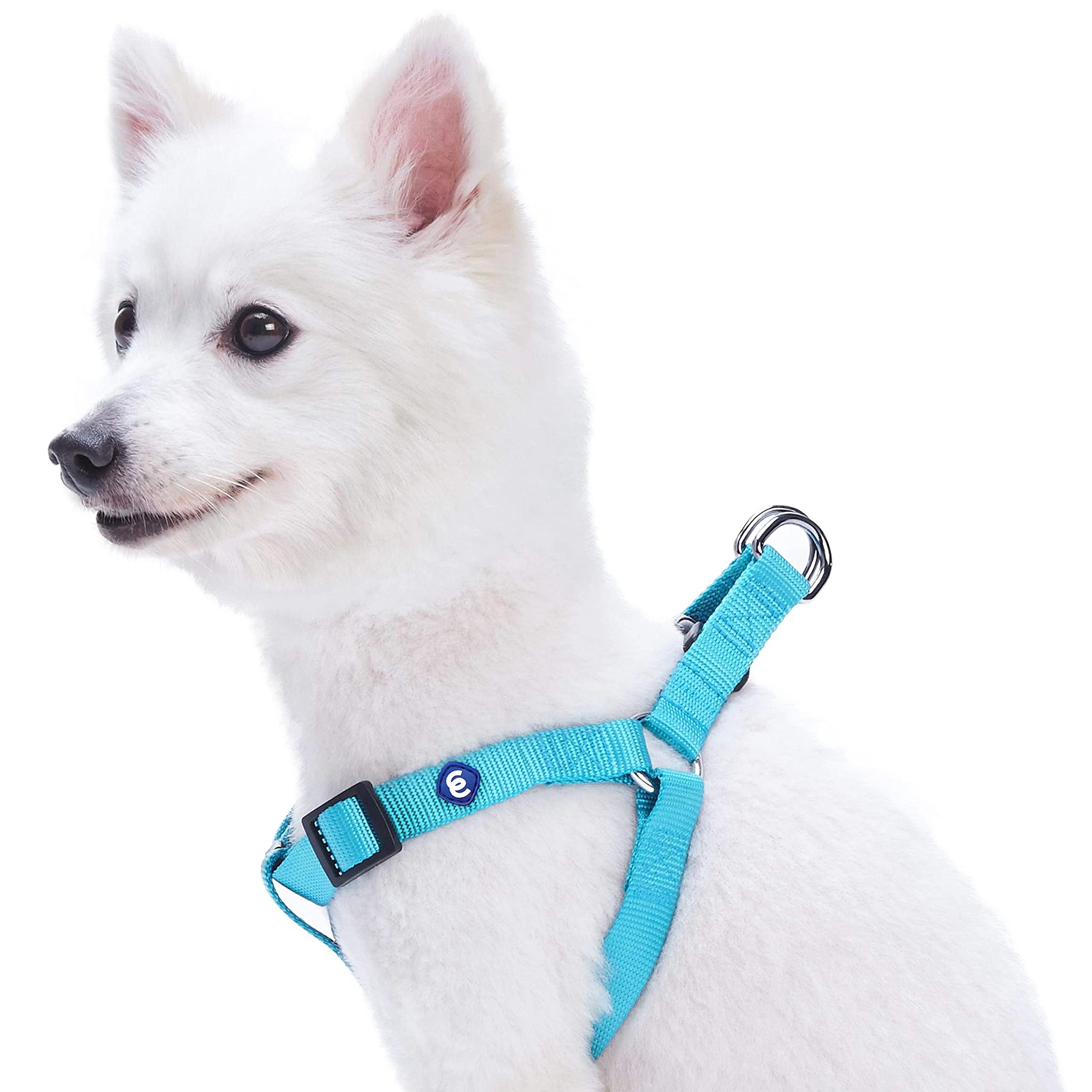 Blueberry Pet Classic Solid Adjustable Dog Harness, Matching Collar and Lead Available Separately