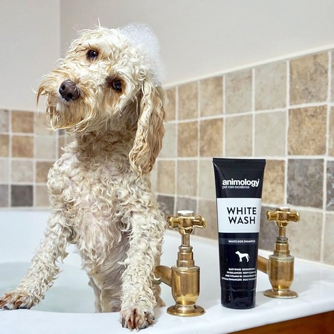 white wash dog shampoo