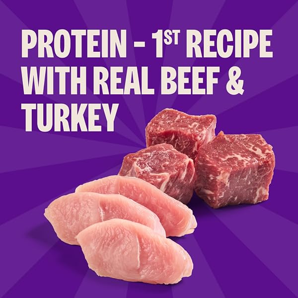 WELLNESS CORE BRAINIAC SOFT PUPPY TRAINING TREATS, NATURAL, GRAIN FREE, BEEF AND TURKEY RECIPE, 5 OZ BAG