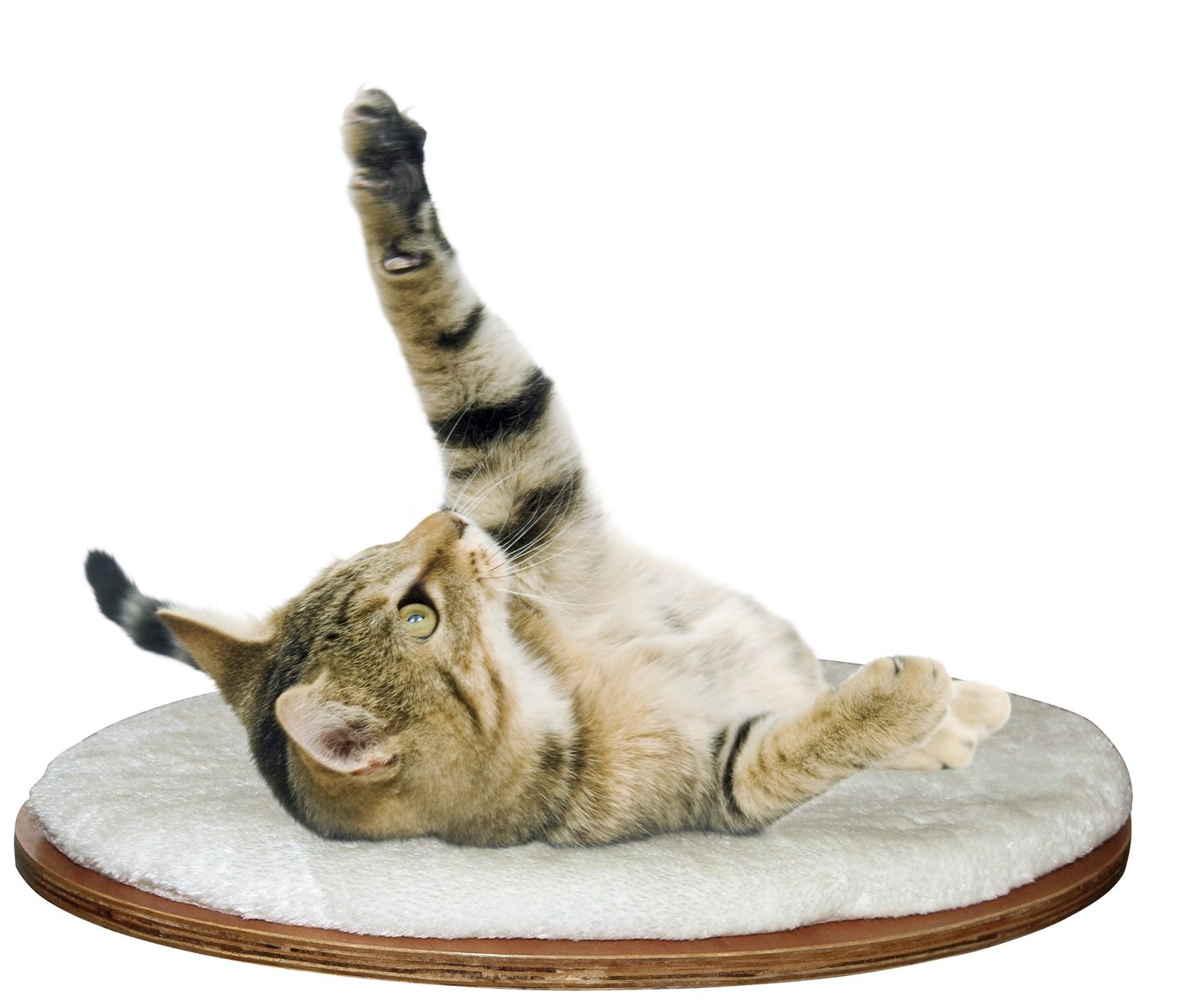 Kerbl Dolomit Wall-Mounted Board, 35 x 50 cm,White