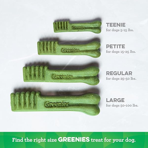 GREENIES DOG TREATS, VETERINARIAN-RECOMMENDED NATURAL DENTAL DOG TREATS, LARGE SIZE, VARIETY PACK FLAVOR, (3) 12 OZ. PACKS, 24 COUNT