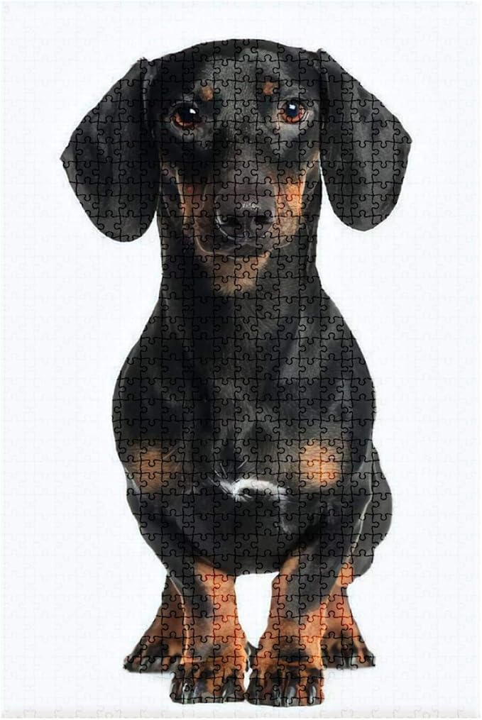 1000 Pieces Wooden Jigsaw Puzzle Dachshund one Year Old