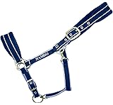 Rambo Padded Headcollar - Royal Blue/Silver and Black