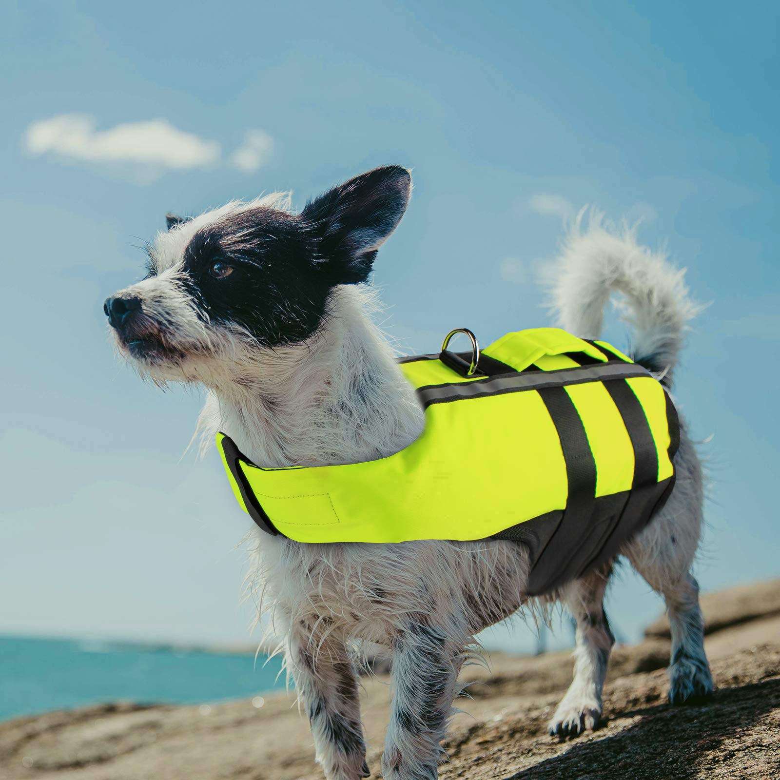 PETLESO Dog Life Jacket High Visibility Floatation Pet Life Vest with Handle(Green) - S