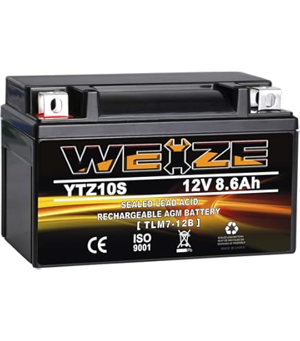 Amazon.com: Weize YTZ10S-BS High Performance - Maintenance Free