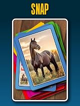 Smart Cards Smart Cards Horse & Pony Card Game 7 Games Travel Pack view 7