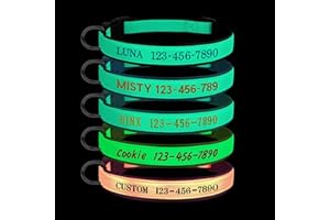 Personalized Dog Collars – Glow in The Dark, Custom Embroidered Name & Phone Number Tags, Adjustable Luminous Collar for Smal