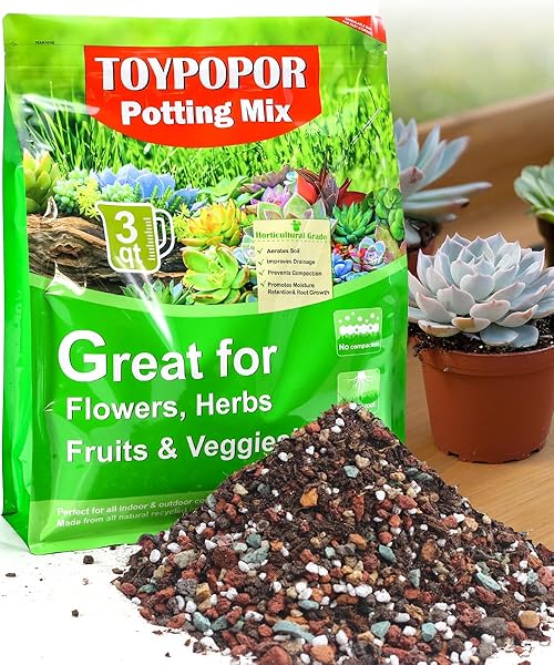 TOYPOPOR SUCCULENT SOIL, CACTUS POTTING MIX 6 POUNDS/3QTS, HIGH DRAINAGE, PRE-MIXED READY TO USE FOR ALL SUCCULENT VARIETIES, INDOOR PLANTS, BONSAI, TERRARIUM, HOUSEPLANT, 70% PARTICLES 30% SOIL