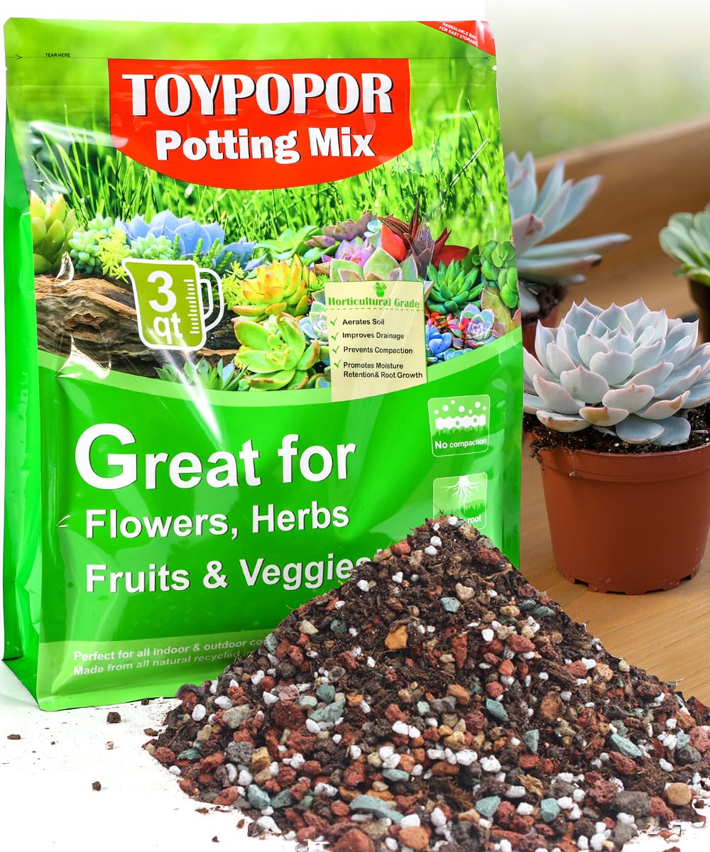 TOYPOPOR Succulent Soil, Cactus Potting Mix 6