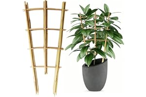 HANARUER 2 Ft Bamboo Trellis, 3 Pack Fan-Shaped Plant Support Trellis, Garden Ladder Trellis with Twist Ties for Indoor, Mini Climbing Plants Hoya Potted Plants House Plants Monstera Vine Ivy