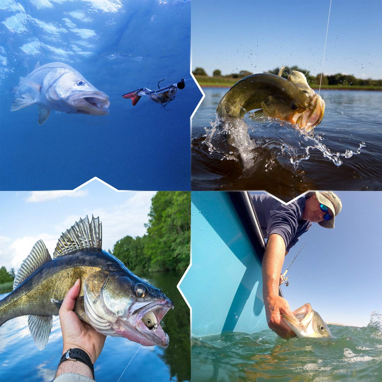 CharmYee Bass Fishing Lure Topwater Bass Lures Fishing Lures Multi Jointed Swimbait Lifelike Hard Bait Trout Perch Pack of 3 : Sports & Outdoors