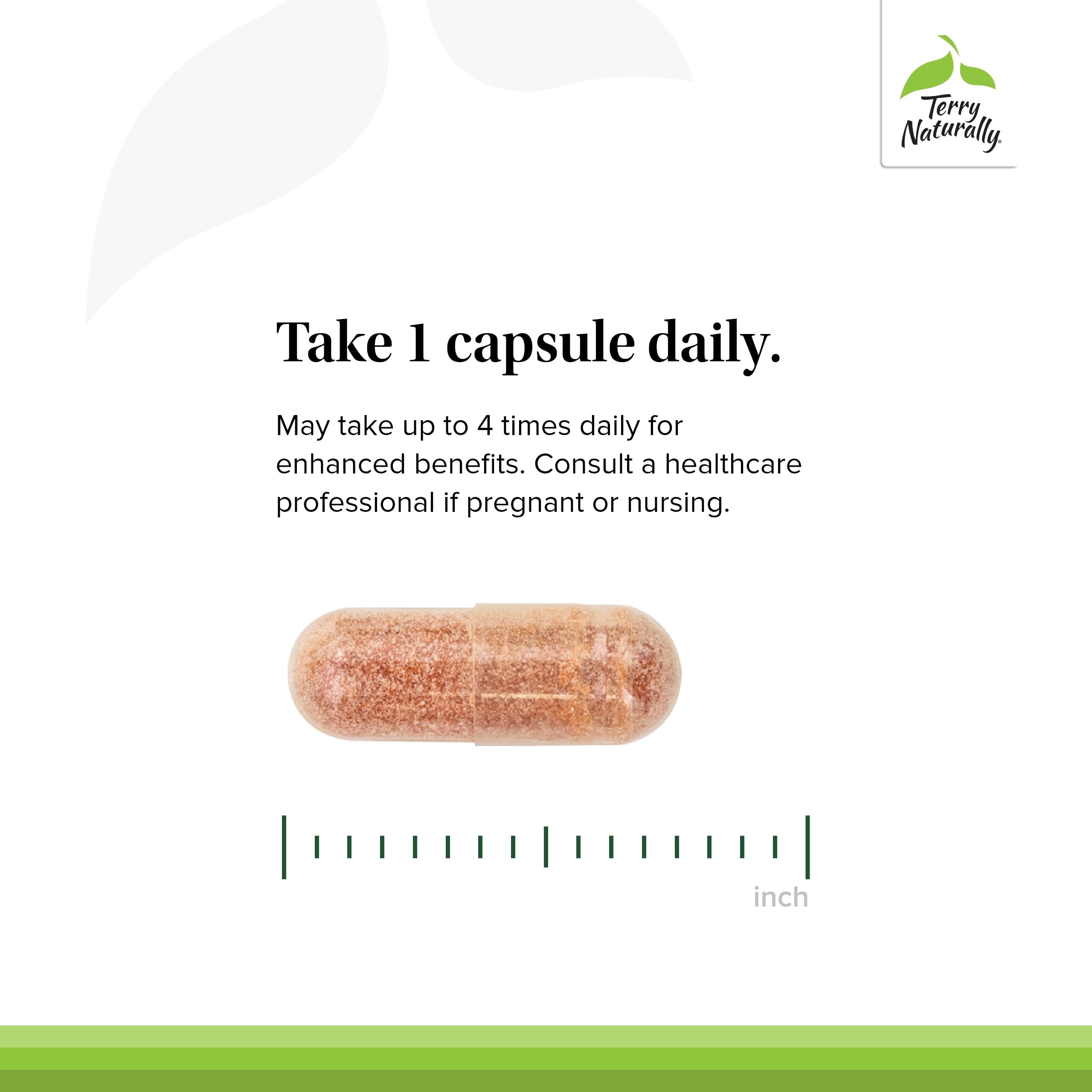 Terry Naturally Clinical OPC - Cardiovascular Health & Focus Support Supplement - Dietary Supplement with Grape Seed Extract & Sunflower Lecithin - Immune Support - 150 mg - 60 Capsules